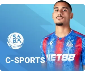 c sports sky88 - 2