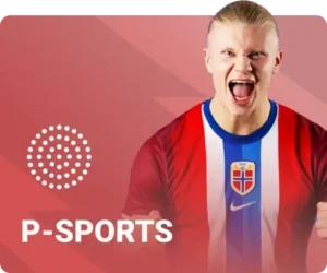 psport - 8
