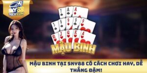 Mậu binh
