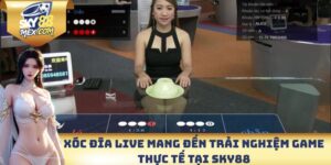 Xóc đĩa Live